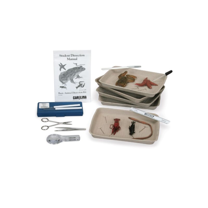Kit básico de disección de animales (221020)