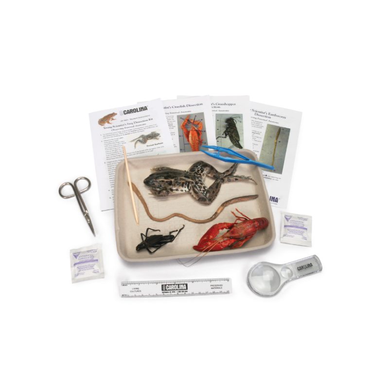 Disección de animales Carolina's Young Scientist™ (221021)