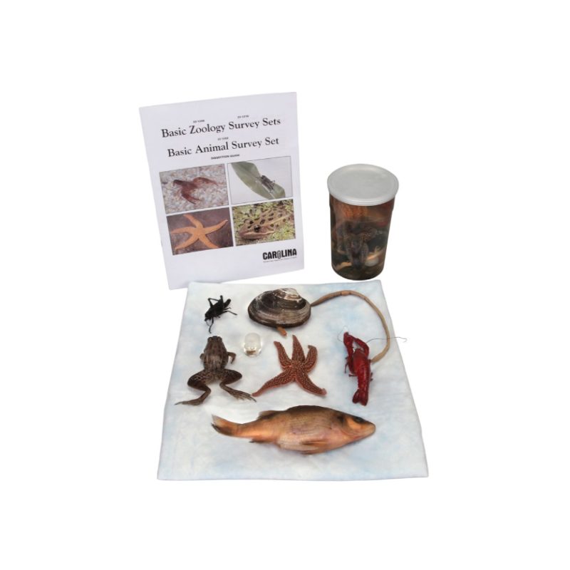 Conjuntos básicos de estudios de zoología (221200)