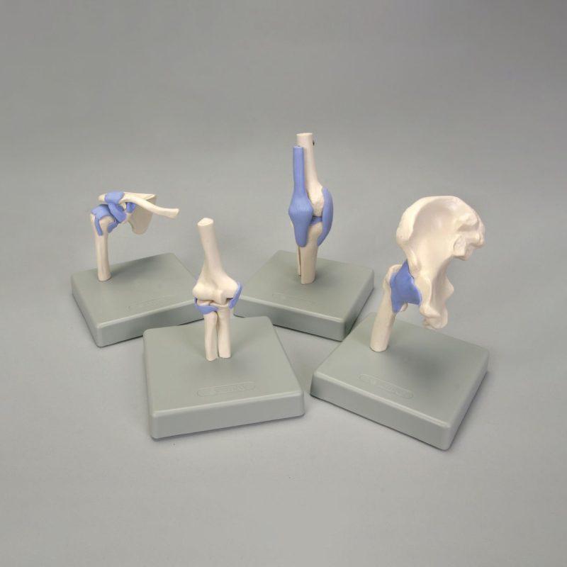 Conjunto de articulaciones funcionales en miniatura Altay (247680)