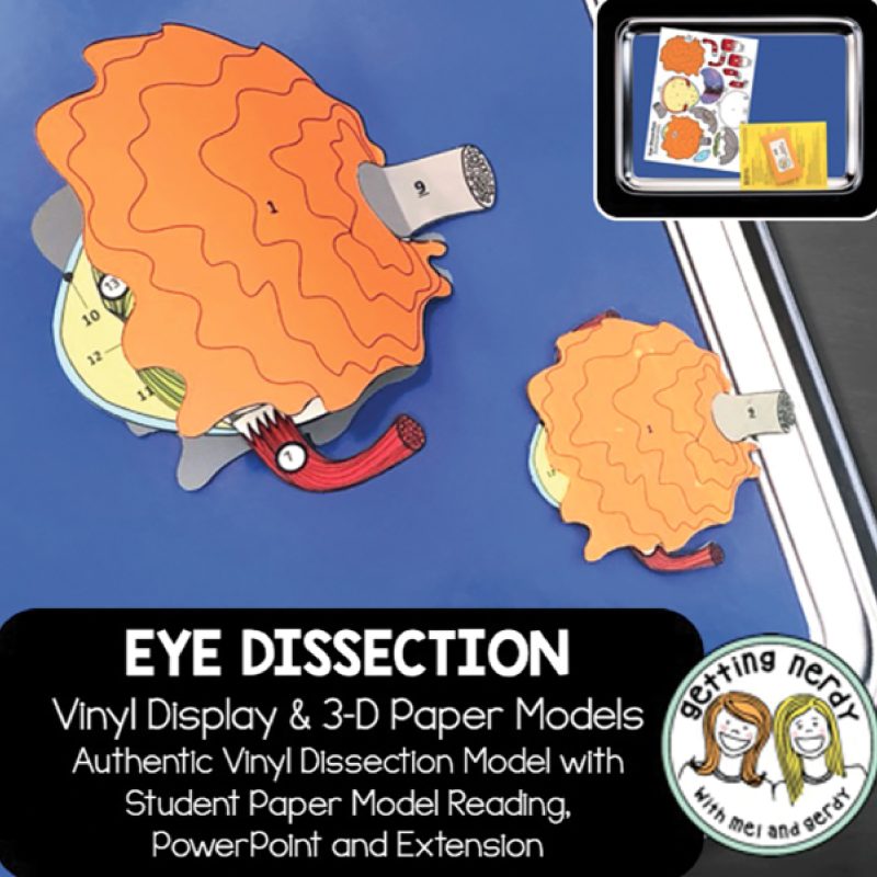 Conjunto de aula digital y manipulativo de vinilo ocular (399481)