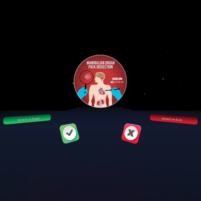 Disección digital: Órganos de mamíferos licencia individual (399600)