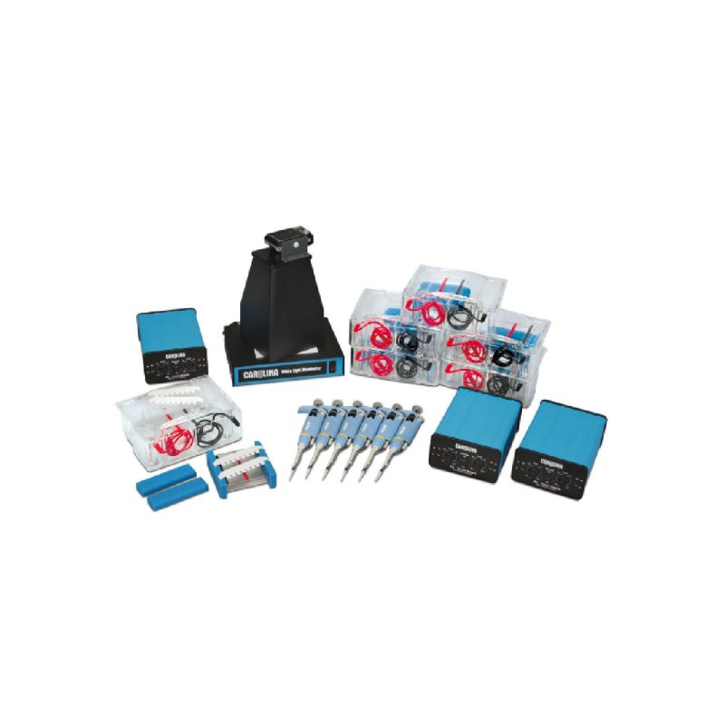 Paquete de equipo de luz blanca Carolina® | 110 V (213630)