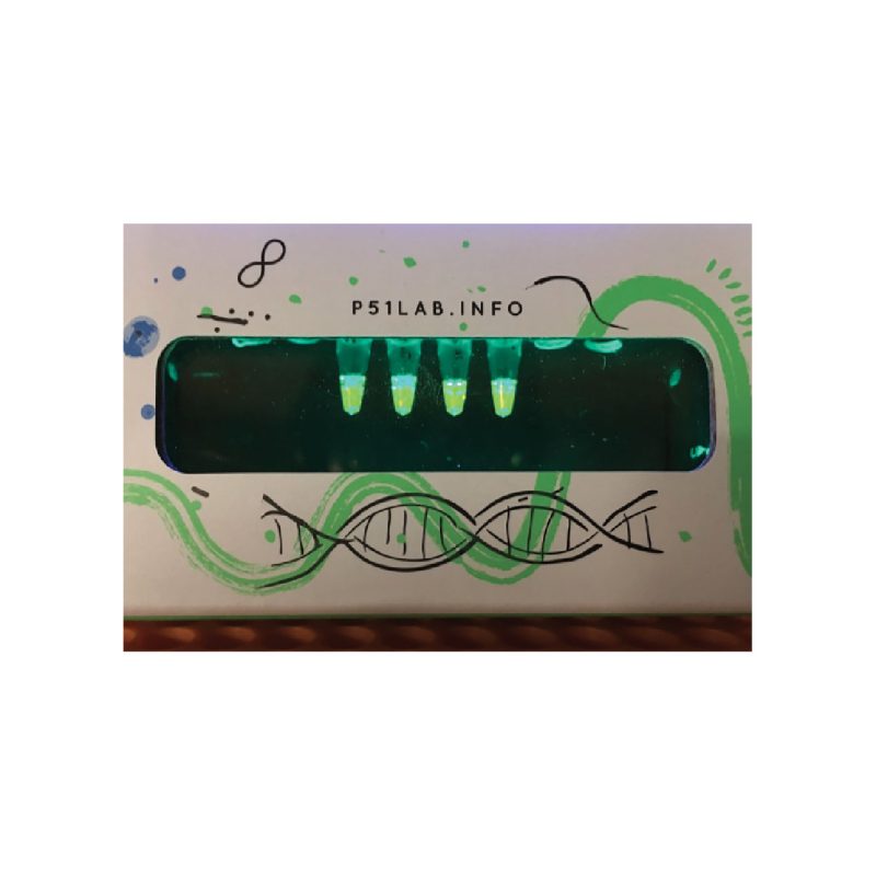 DNA Glow Lab™ | Kit de exploración de la estructura del ADN (216322)