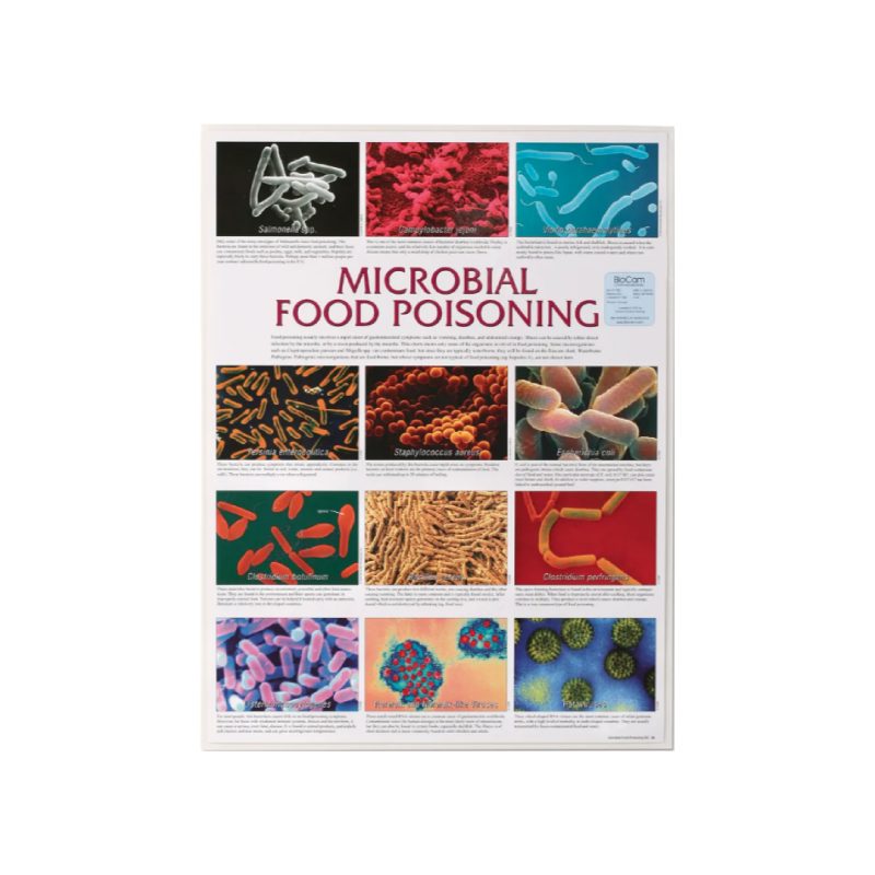 Pictomicrografía de intoxicación alimentaria microbiana (154668)