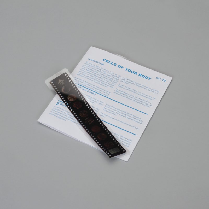 Lecciones de Microslide® sobre las células de tu cuerpo (489732A)
