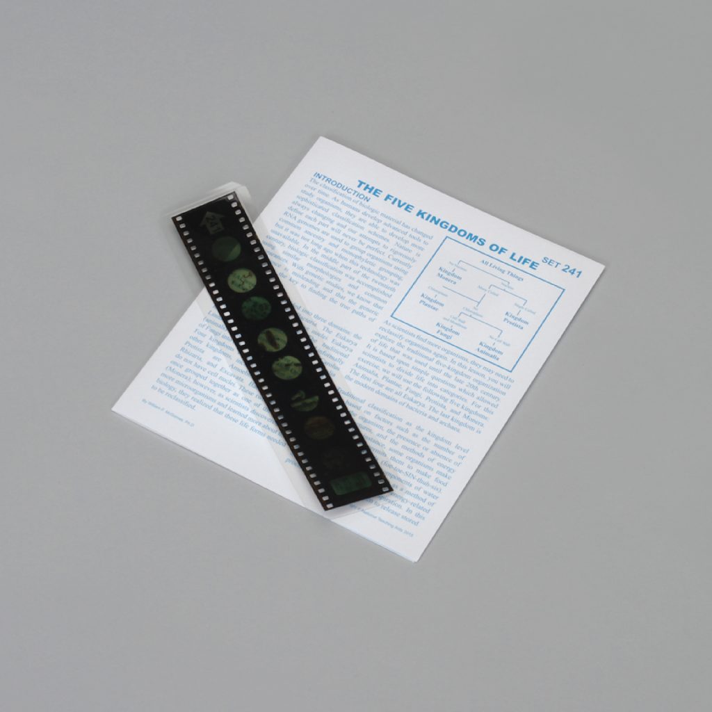 Microslide Lecciones de Microslide® de los cinco reinos de la vida (489735A)