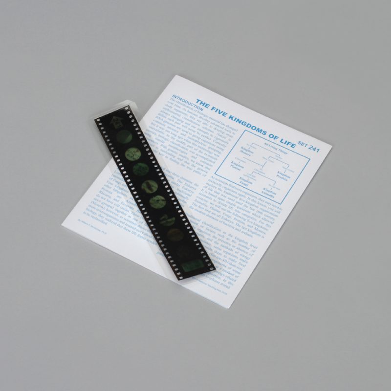 Lecciones de Microslide® de los cinco reinos de la vida (489735A)