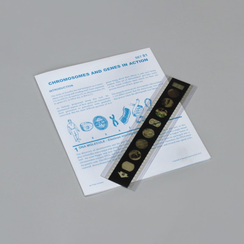 Lecciones de Microslide® de cromosomas y genes en acción (489760A)