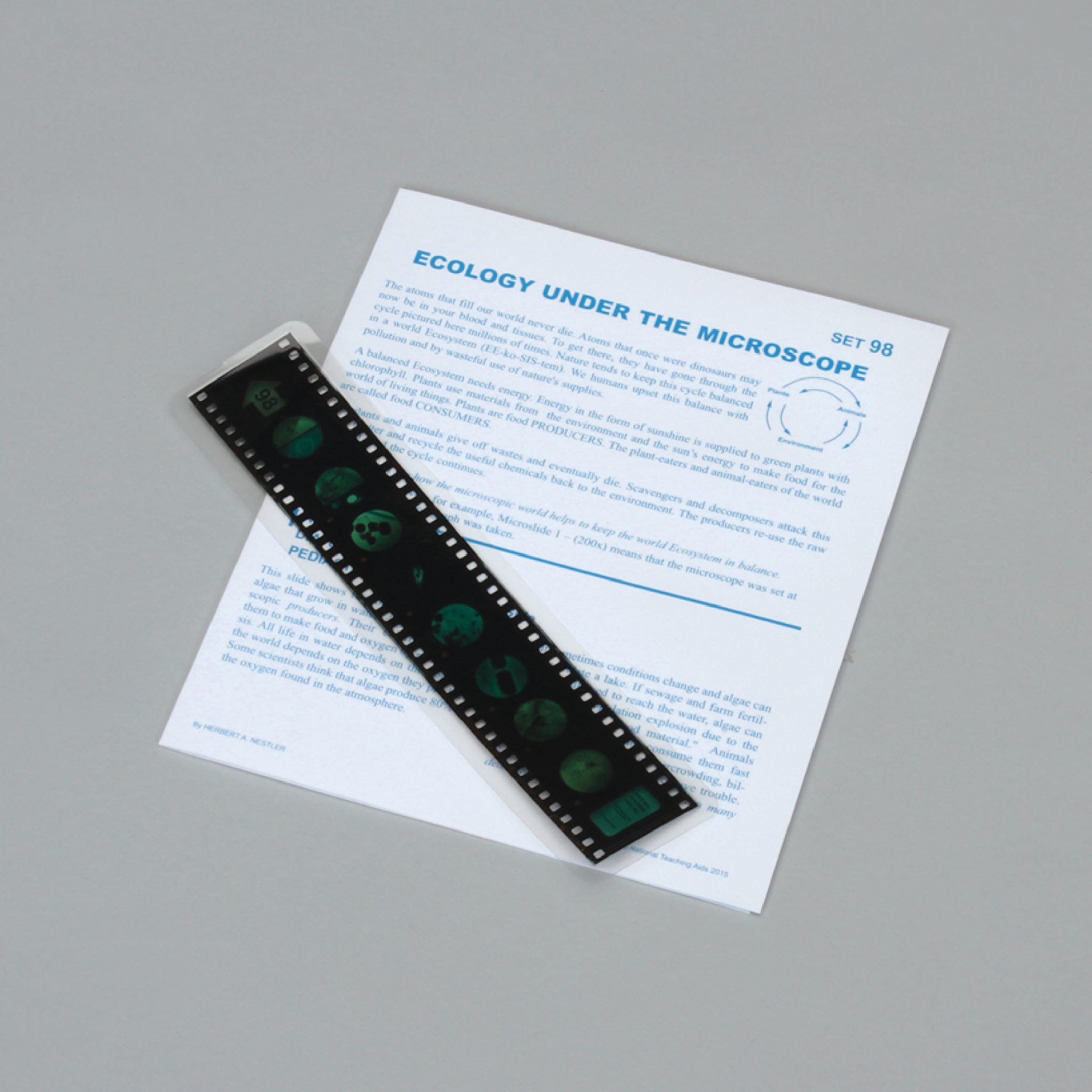 Microslide Lecciones de Microslide® de ecología bajo el microscopio (489770A)