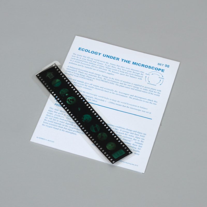 Lecciones de Microslide® de ecología bajo el microscopio (489770A)