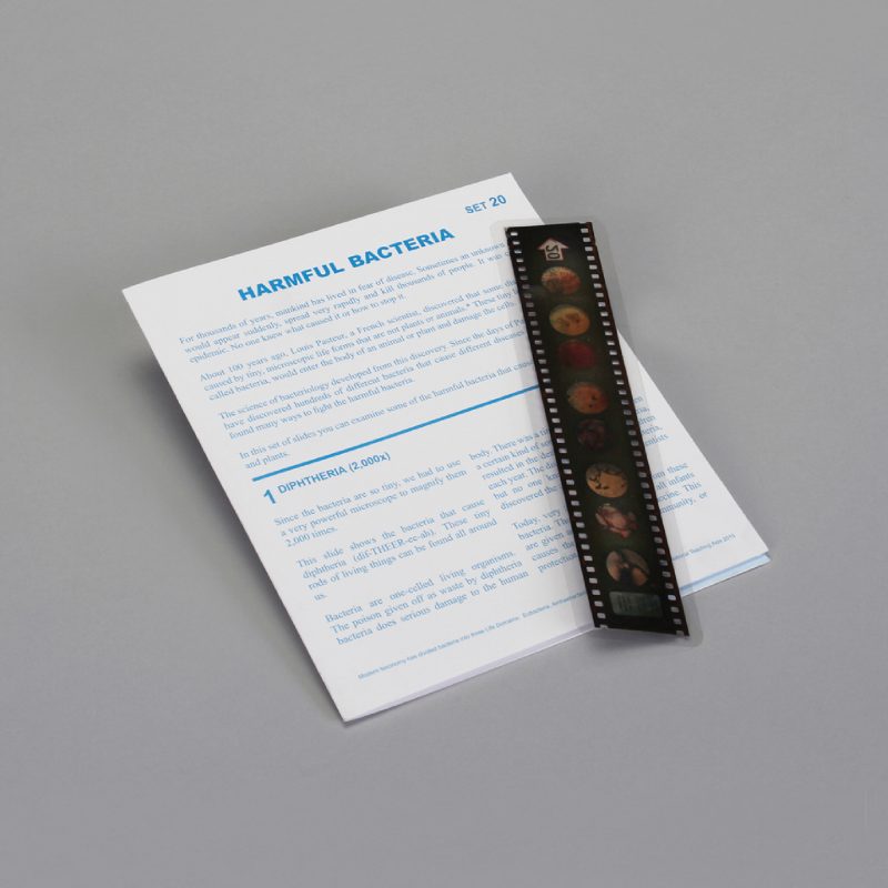 Lecciones de Microslide® sobre bacterias patógenas (489876A)