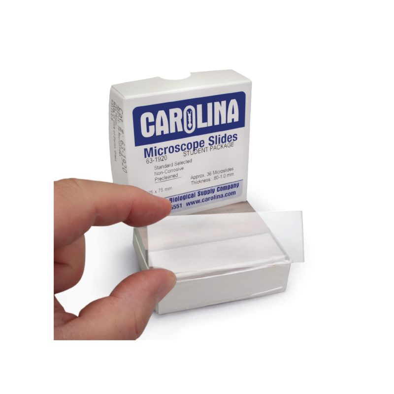 Portaobjetos de vidrio para microscopio Carolina® | 25 x 75 mm (631920)