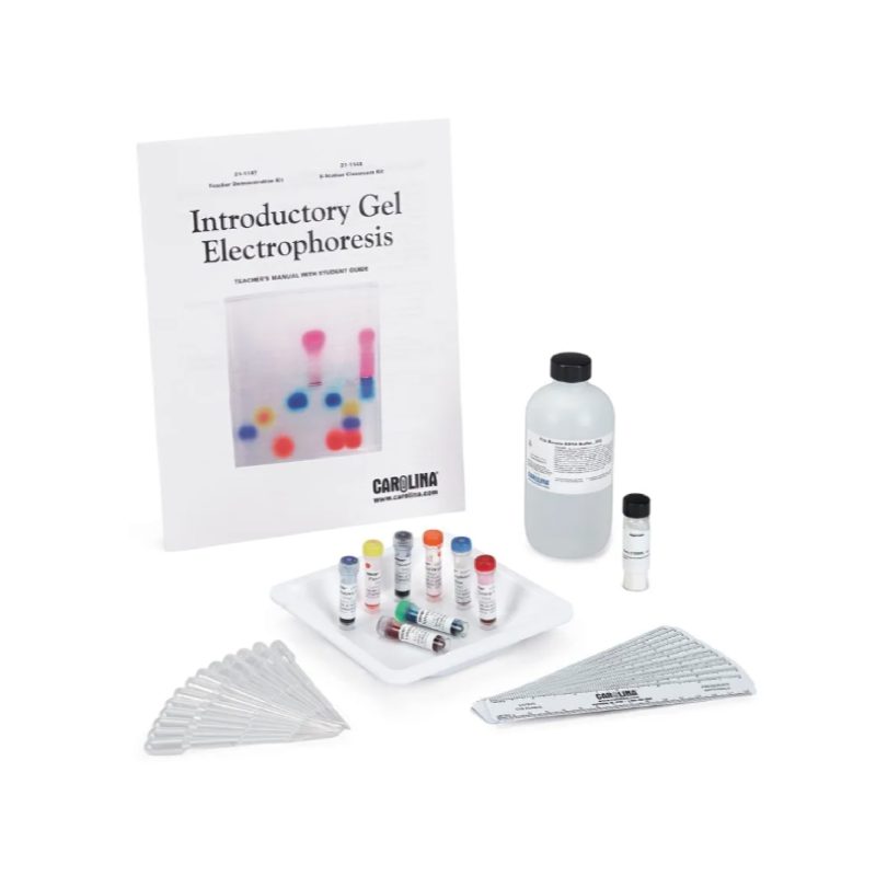 Kit introductorio de electroforesis en gel (211147)
