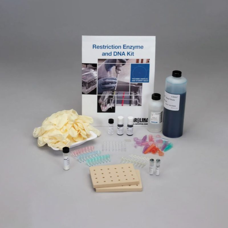 Kit de 8 estaciones de enzimas de restricción y ADN (211185)