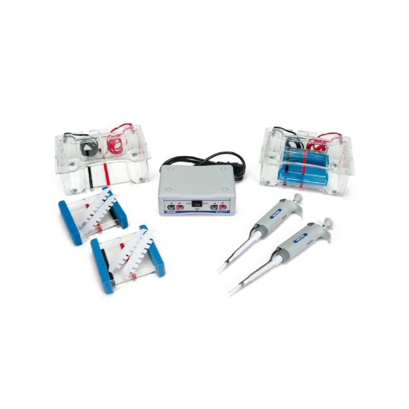 Paquete de equipo de estación de laboratorio de electroforesis Carolina® | 110 V (213603)