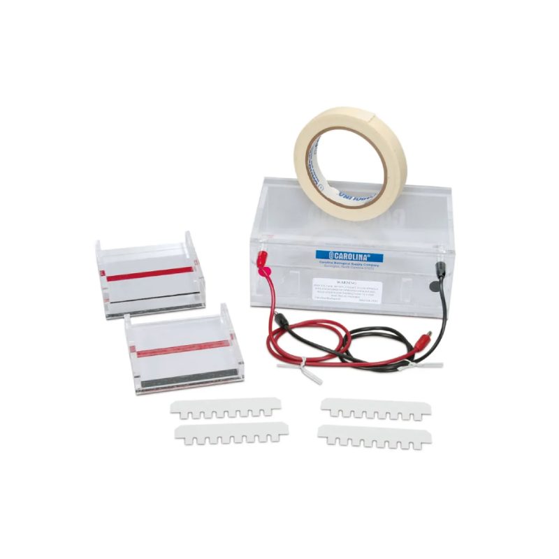 Juego de cámara de electroforesis en gel Carolina® (213654)