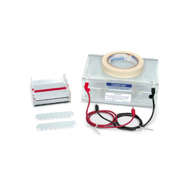 Cámara de electroforesis en gel Carolina® (213668)