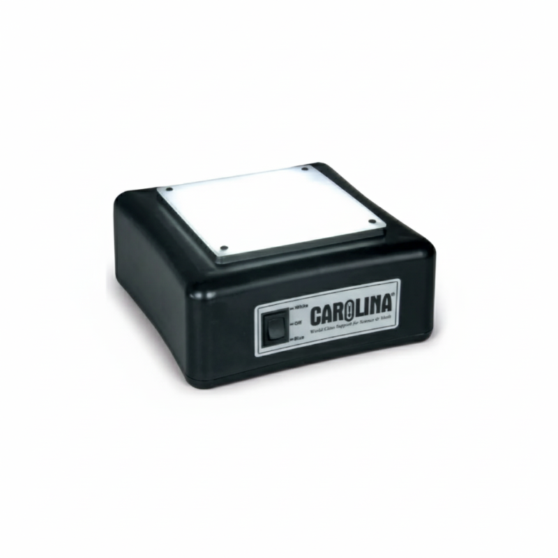 Caja de luz LED Carolina® (213694)