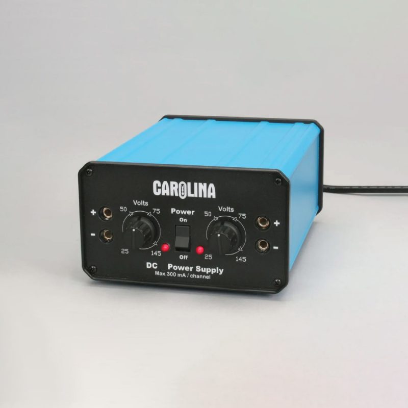 Fuente de alimentación para electroforesis Carolina NG (213704)