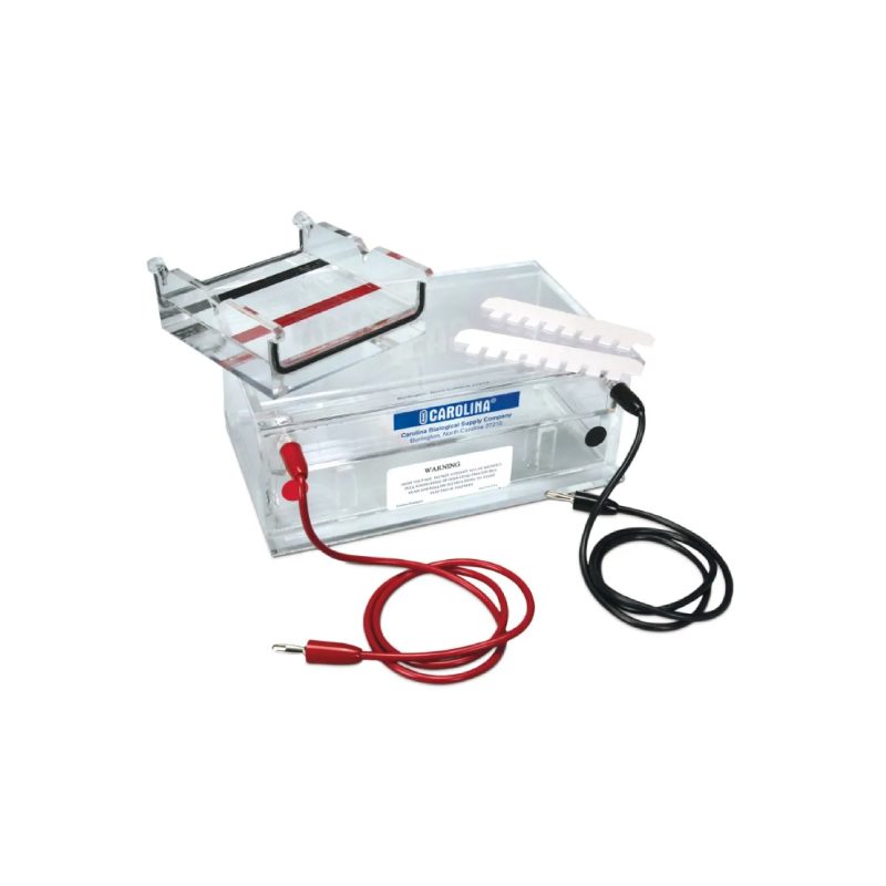 Cámara de electroforesis en gel Carolina® Deluxe (213710)