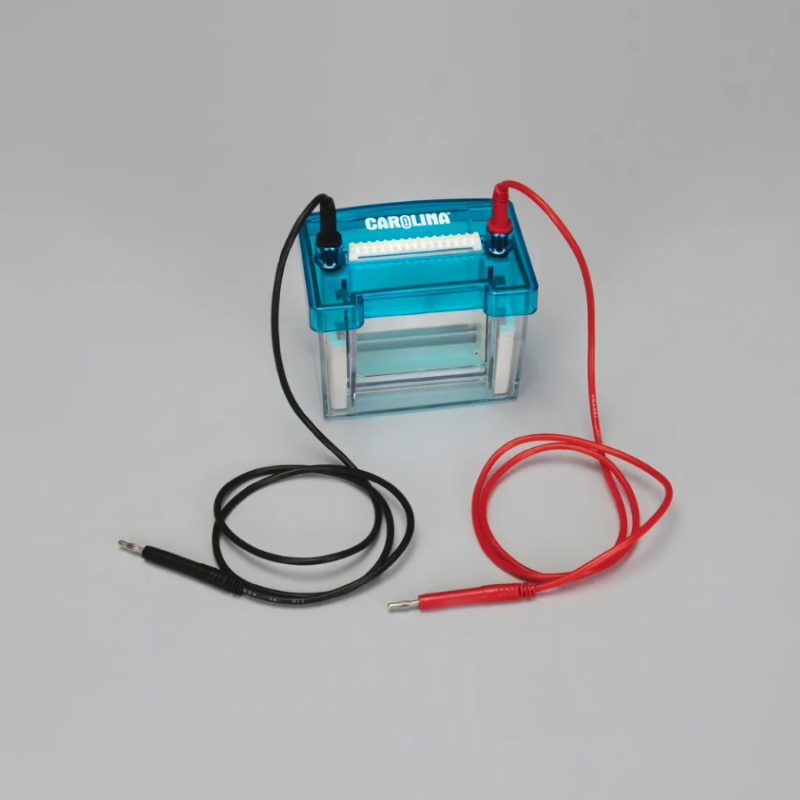 Cámara de electroforesis vertical de doble gel Carolina® (213713)