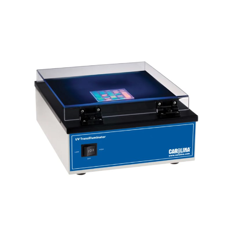 Transiluminador UV Carolina® (213727)