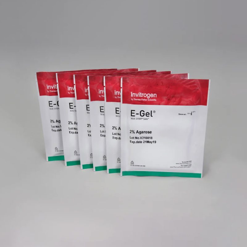 E-Gel® 2 % de agarosa con SYBR® Safe | Paquete de 6 (213809)