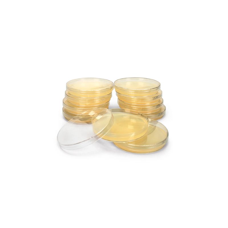 Caldo Luria | Placas de agar preparadas (216604)