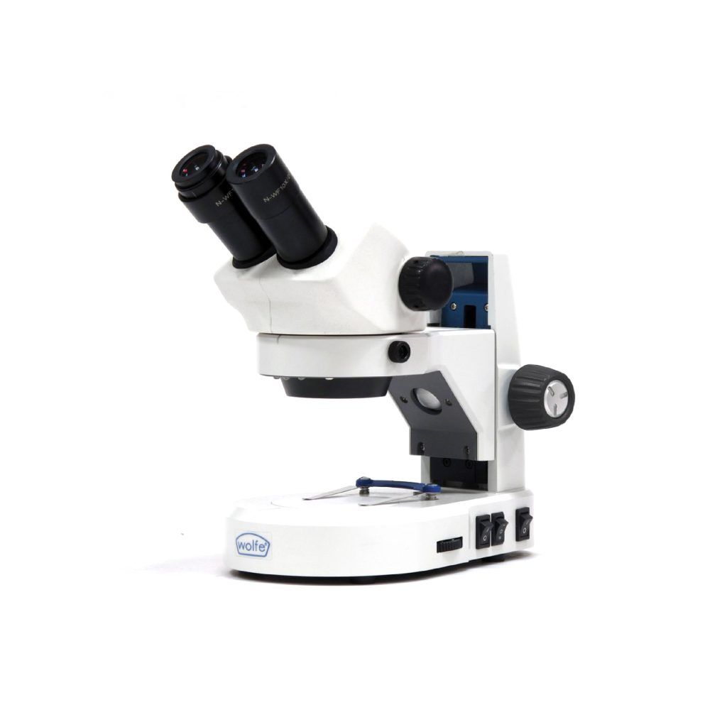 Microscop&iacute;a