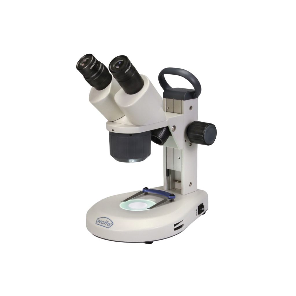 Microscop&iacute;a