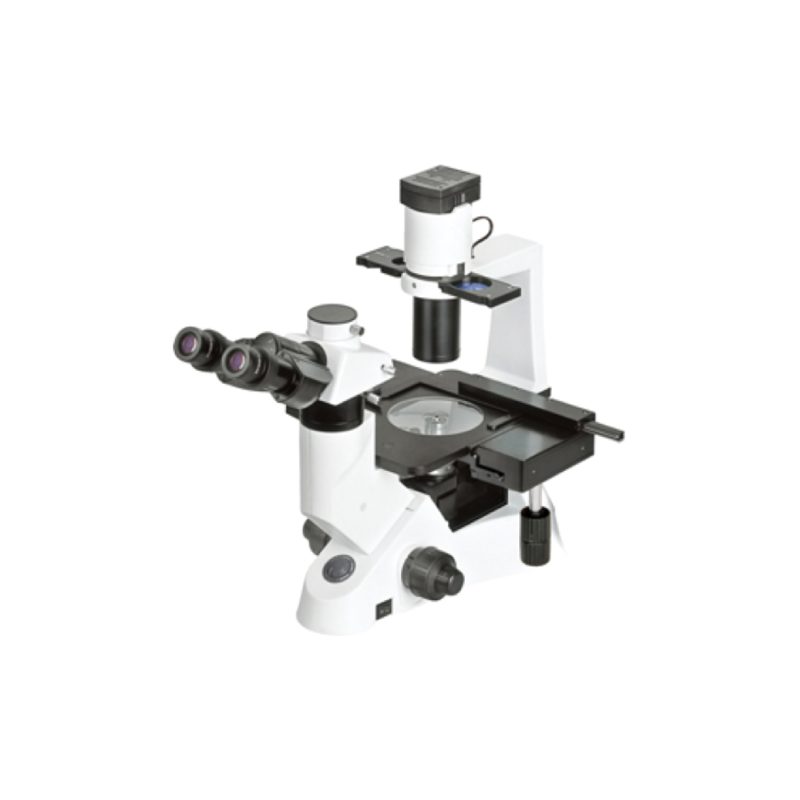 Microscopio biológico invertido (MXD-300)
