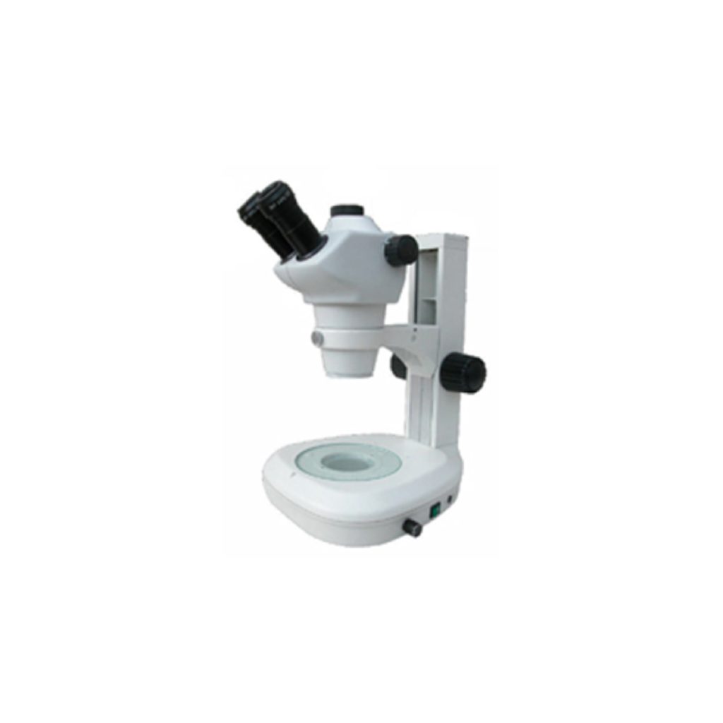 Microscop&iacute;a