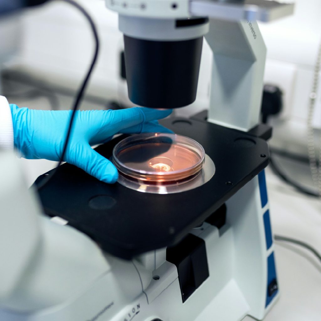 Microscop&iacute;a