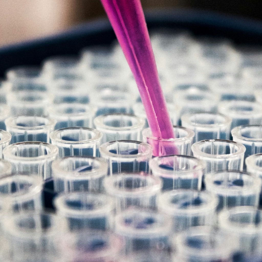 Microscop&iacute;a